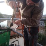 zinguerie-plomb-macon-alpes-maritimes-06-var-83-launay-construction