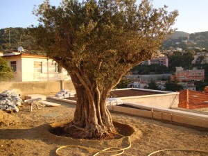renovation-loft-macon-alpes-maritimes-06-var-83-monuments-historiques-compagnon-maconnerie