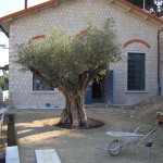 renovation-loft-macon-alpes-maritimes-06-var-83-monuments-historiques-compagnon-maconnerie