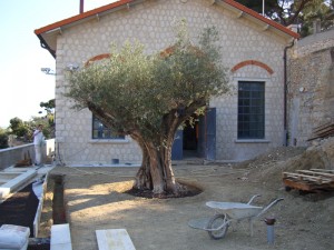 renovation-loft-macon-alpes-maritimes-06-var-83-monuments-historiques-compagnon-maconnerie