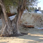 renovation-loft-macon-alpes-maritimes-06-var-83-monuments-historiques-compagnon-maconnerie