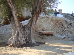 renovation-loft-macon-alpes-maritimes-06-var-83-monuments-historiques-compagnon-maconnerie