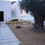 renovation-loft-macon-alpes-maritimes-06-var-83-monuments-historiques-compagnon-maconnerie