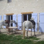 renovation-bergerie-macon-alpes-maritimes-06-var-83-monuments-historiques-compagnon-maconnerie, Grasse